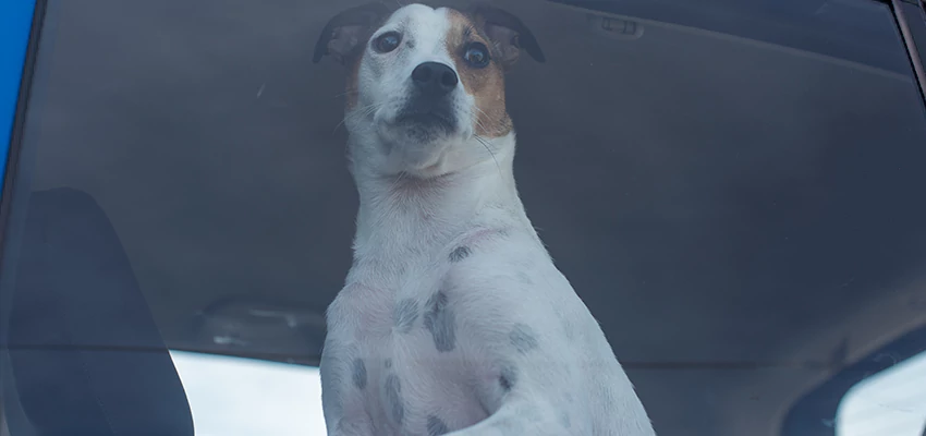 Car Lockout Solutions in Pleasant Hill, California